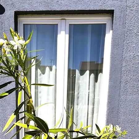 Lorenzo's App Pula, Istria Apartment *